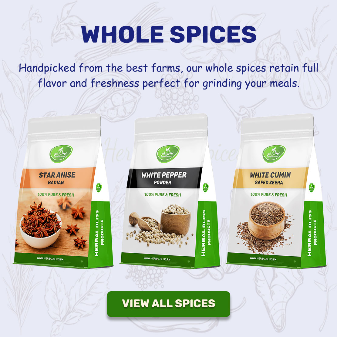 Click for View all Whole Spices White Cumin Safed Zeera Seeds by Herbalbliss.pk